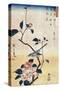 Camellia and Bush Warbler, Japanese Wood-Cut Print-Lantern Press-Stretched Canvas