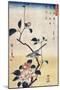 Camellia and Bush Warbler, Japanese Wood-Cut Print-Lantern Press-Mounted Art Print