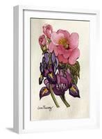 Camellia and Dutch Iris-Joan Thewsey-Framed Giclee Print