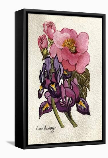 Camellia and Dutch Iris-Joan Thewsey-Framed Stretched Canvas