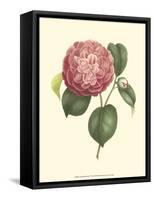 Camellia Blooms I-J^ J^ Jung-Framed Stretched Canvas