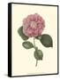 Camellia Blooms III-J^ J^ Jung-Framed Stretched Canvas