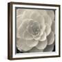 Camellia I-Ella Lancaster-Framed Giclee Print