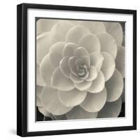 Camellia I-Ella Lancaster-Framed Giclee Print