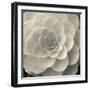 Camellia I-Ella Lancaster-Framed Giclee Print