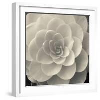 Camellia I-Ella Lancaster-Framed Giclee Print