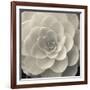 Camellia I-Ella Lancaster-Framed Giclee Print