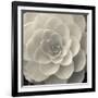 Camellia I-Ella Lancaster-Framed Giclee Print