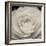 Camellia II-Ella Lancaster-Framed Giclee Print