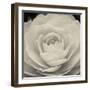 Camellia II-Ella Lancaster-Framed Giclee Print