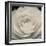 Camellia II-Ella Lancaster-Framed Giclee Print