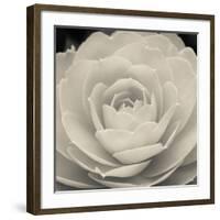 Camellia II-Ella Lancaster-Framed Giclee Print