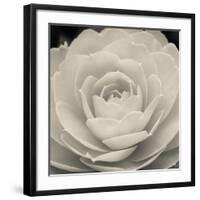 Camellia II-Ella Lancaster-Framed Giclee Print