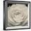 Camellia II-Ella Lancaster-Framed Giclee Print