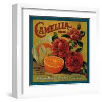 Camellia Orange Label - Redlands, CA-Lantern Press-Framed Art Print