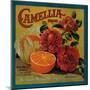 Camellia Orange Label - Redlands, CA-Lantern Press-Mounted Art Print