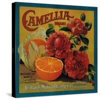 Camellia Orange Label - Redlands, CA-Lantern Press-Stretched Canvas