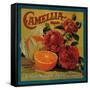 Camellia Orange Label - Redlands, CA-Lantern Press-Framed Stretched Canvas