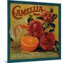Camellia Orange Label - Redlands, CA-Lantern Press-Mounted Art Print