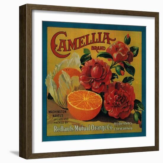 Camellia Orange Label - Redlands, CA-Lantern Press-Framed Art Print