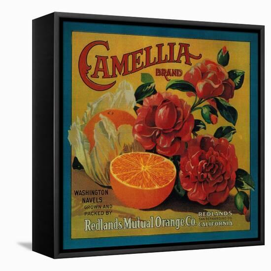 Camellia Orange Label - Redlands, CA-Lantern Press-Framed Stretched Canvas