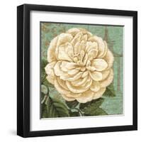 Camellia Study II-Suzanne Nicoll-Framed Art Print
