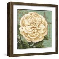 Camellia Study II-Suzanne Nicoll-Framed Art Print