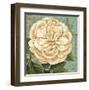 Camellia Study II-Suzanne Nicoll-Framed Art Print