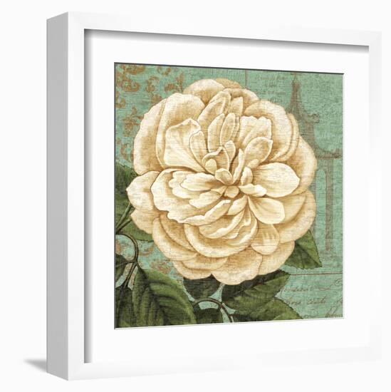 Camellia Study II-Suzanne Nicoll-Framed Art Print