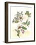 Camellia Study-Melissa Wang-Framed Art Print