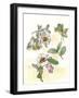 Camellia Study-Melissa Wang-Framed Art Print