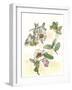 Camellia Study-Melissa Wang-Framed Art Print