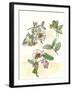 Camellia Study-Melissa Wang-Framed Art Print