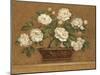 Camellia Tapestry-Pamela Gladding-Mounted Art Print