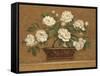 Camellia Tapestry-Pamela Gladding-Framed Stretched Canvas