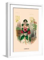 Camellia-J.J. Grandville-Framed Art Print