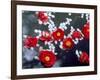 Camellias and Cherry Petals, Jingoji Temple, Kyoto, Japan-null-Framed Photographic Print
