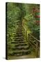 Camellias Steps, Portland Japanese Garden, Portland, Oregon, Usa-Michel Hersen-Stretched Canvas