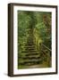 Camellias Steps, Portland Japanese Garden, Portland, Oregon, Usa-Michel Hersen-Framed Photographic Print