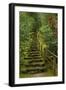 Camellias Steps, Portland Japanese Garden, Portland, Oregon, Usa-Michel Hersen-Framed Photographic Print