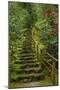 Camellias Steps, Portland Japanese Garden, Portland, Oregon, Usa-Michel Hersen-Mounted Photographic Print