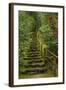 Camellias Steps, Portland Japanese Garden, Portland, Oregon, Usa-Michel Hersen-Framed Photographic Print