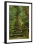 Camellias Steps, Portland Japanese Garden, Portland, Oregon, Usa-Michel Hersen-Framed Photographic Print