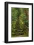 Camellias Steps, Portland Japanese Garden, Portland, Oregon, Usa-Michel Hersen-Framed Photographic Print