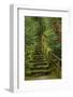 Camellias Steps, Portland Japanese Garden, Portland, Oregon, Usa-Michel Hersen-Framed Photographic Print