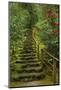 Camellias Steps, Portland Japanese Garden, Portland, Oregon, Usa-Michel Hersen-Mounted Photographic Print