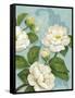 Camellias-Pamela Gladding-Framed Stretched Canvas