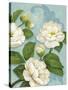 Camellias-Pamela Gladding-Stretched Canvas