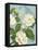 Camellias-Pamela Gladding-Framed Stretched Canvas