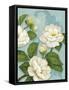 Camellias-Pamela Gladding-Framed Stretched Canvas